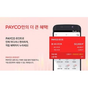 自动发货 韩国PAYCO商品券礼品卡充值卡兑换码 充值码 payco礼品卡