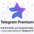 Telegram Premium 小飞机会员订阅服务